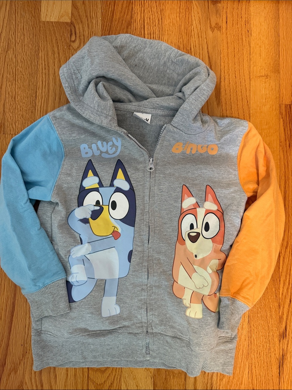 Bluey & Bingo Gray Zip Hoodie for Kids